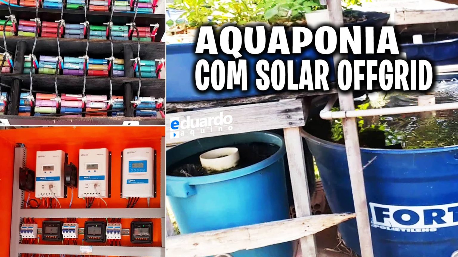 ENERGIA SOLAR OFFGRID para peixes